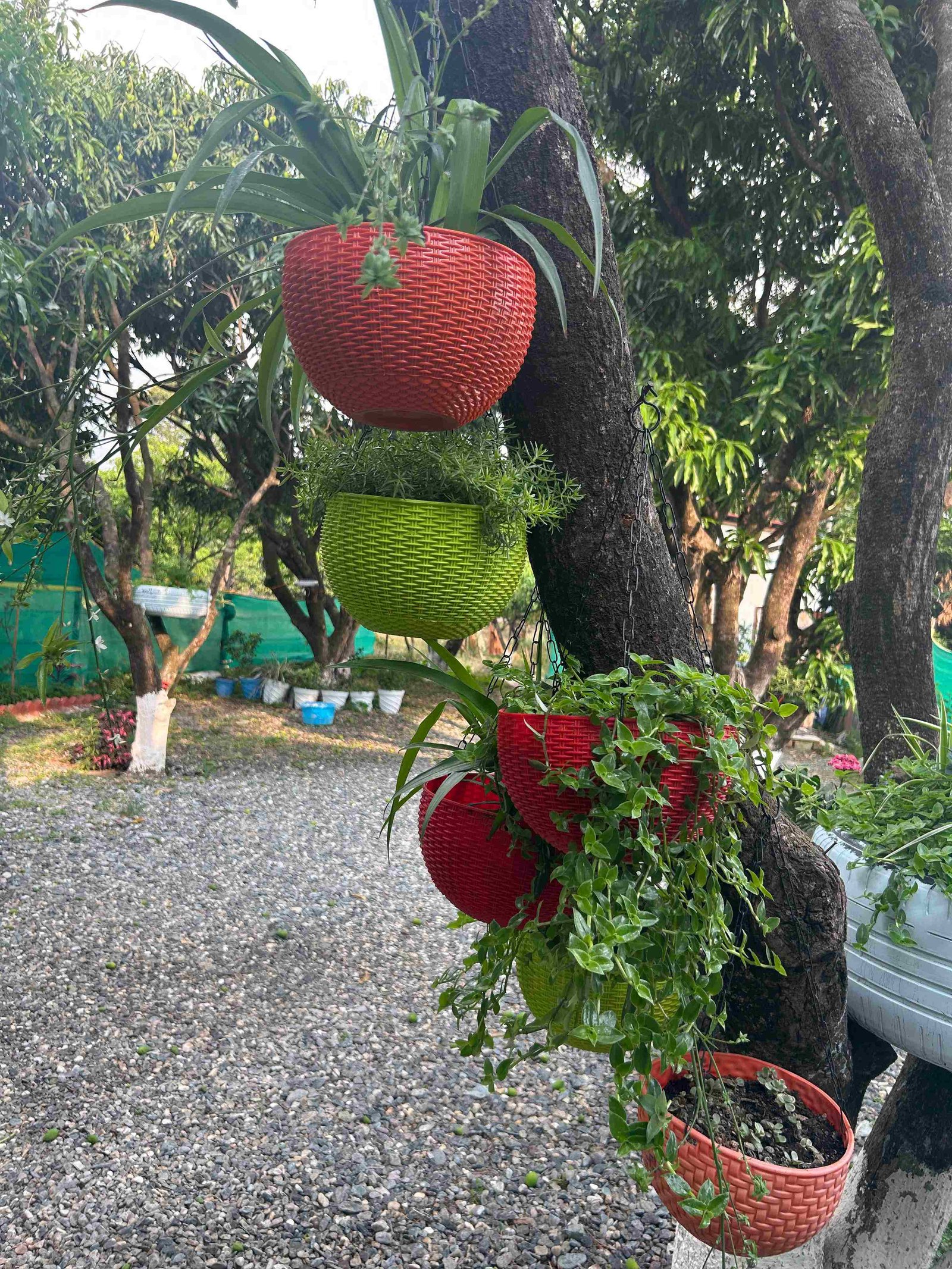 Nature